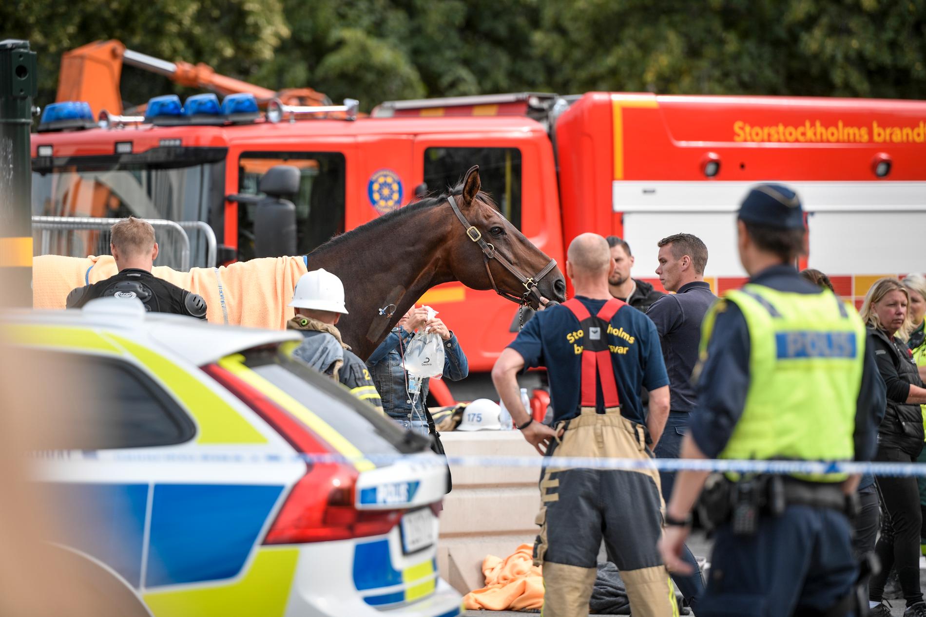 Olyckan inträffade i närheten av Stadion i centrala Stockholm.