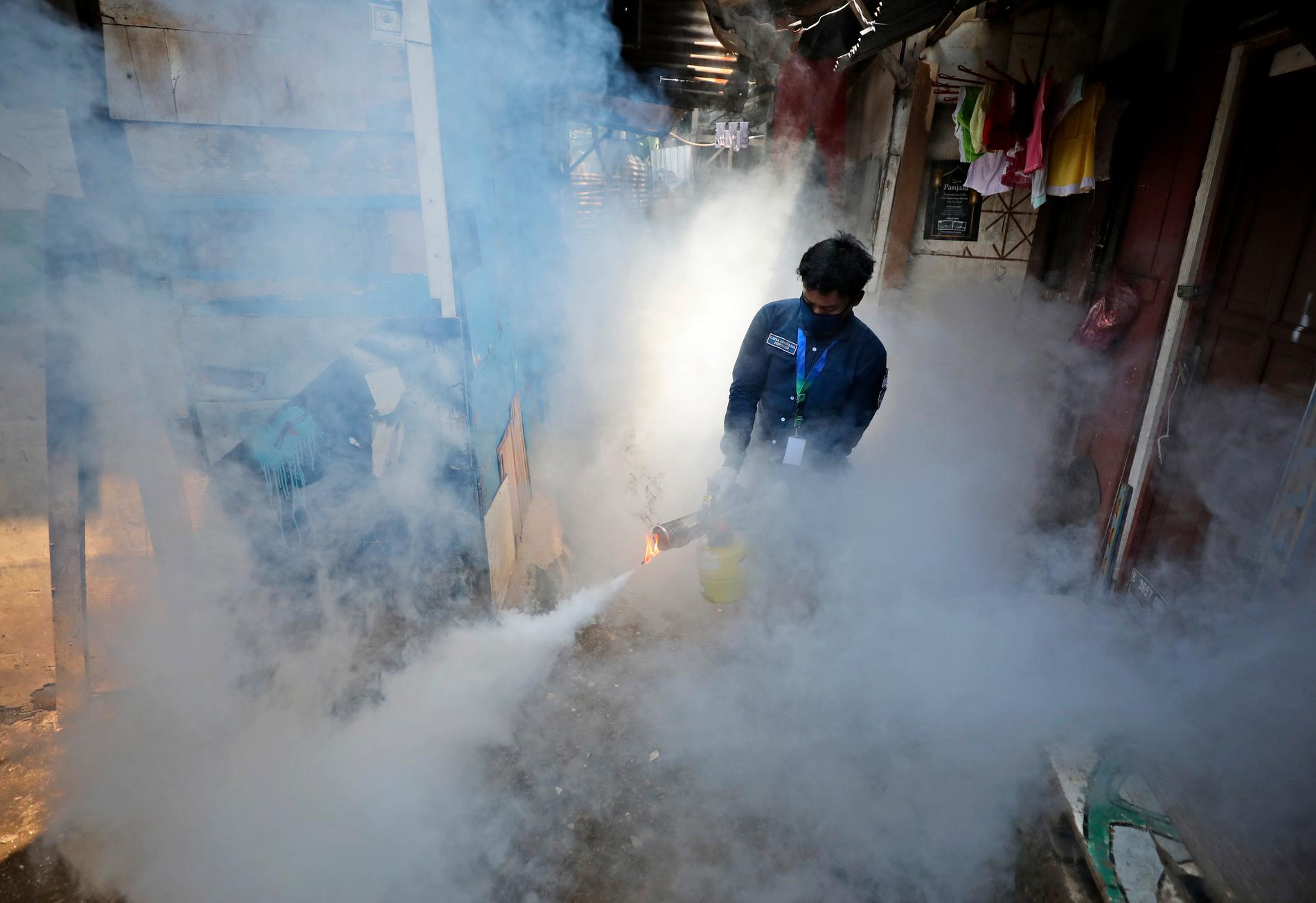 Gift sprutas ut för att förhindra ett utbrott av denguefeber i Jakarta.