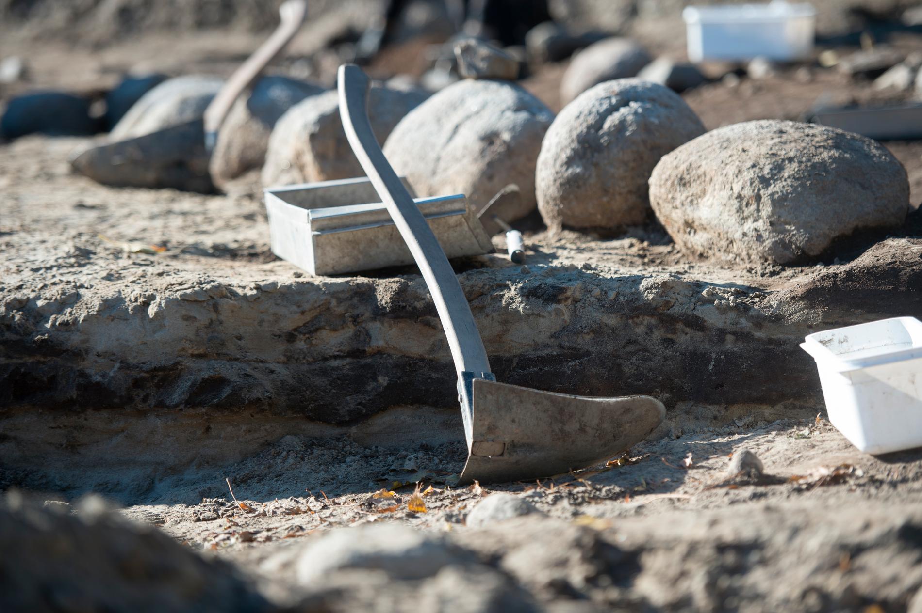 Det nya fyndet av så kallade guldgubbar har gjorts på samma plats i Blekinge där arkeologer 2013 hittade 29 stycken. Arkivbild.