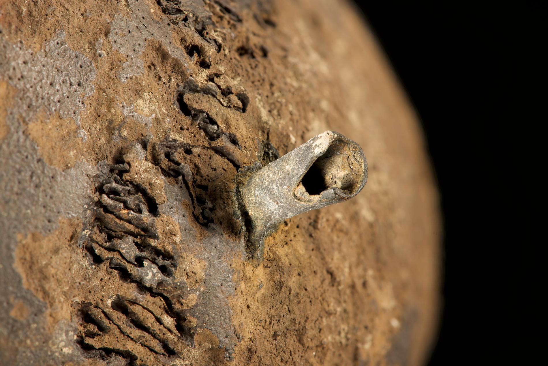Flera av skallarna visar tecken på dödligt våld. På den här har en bronspil genomborrat skallbenet. Många av pilspetsarna hade några millimeter av själva pilen kvar, något som hjälpte forskarna att datera slaget till cirka 1280 före vår tideräkning.