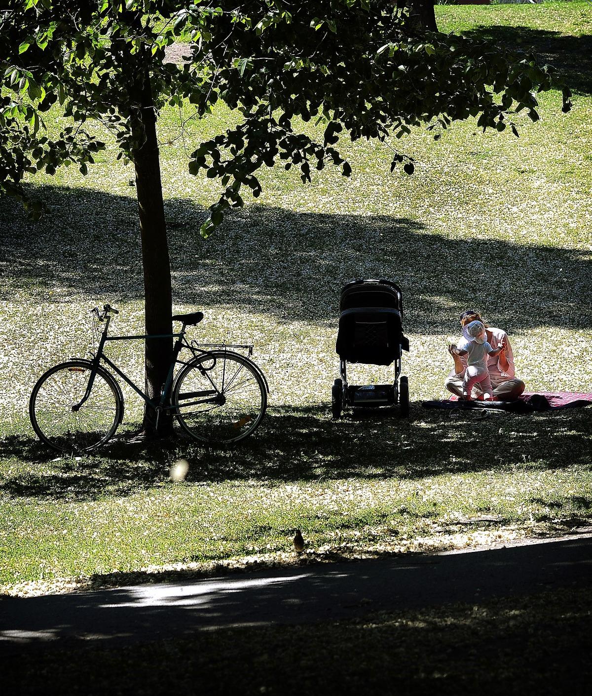 FÖRÄNDRADE BOENDEMÖNSTER Det är inte längre självklart för familjer att söka sig till förorten när de får barn. Det ställer därför högre krav på städerna att bli mer barnvänliga. Ett sätt är att skapa fler grönområden, som det här i Vasaparken i Stockholm.
