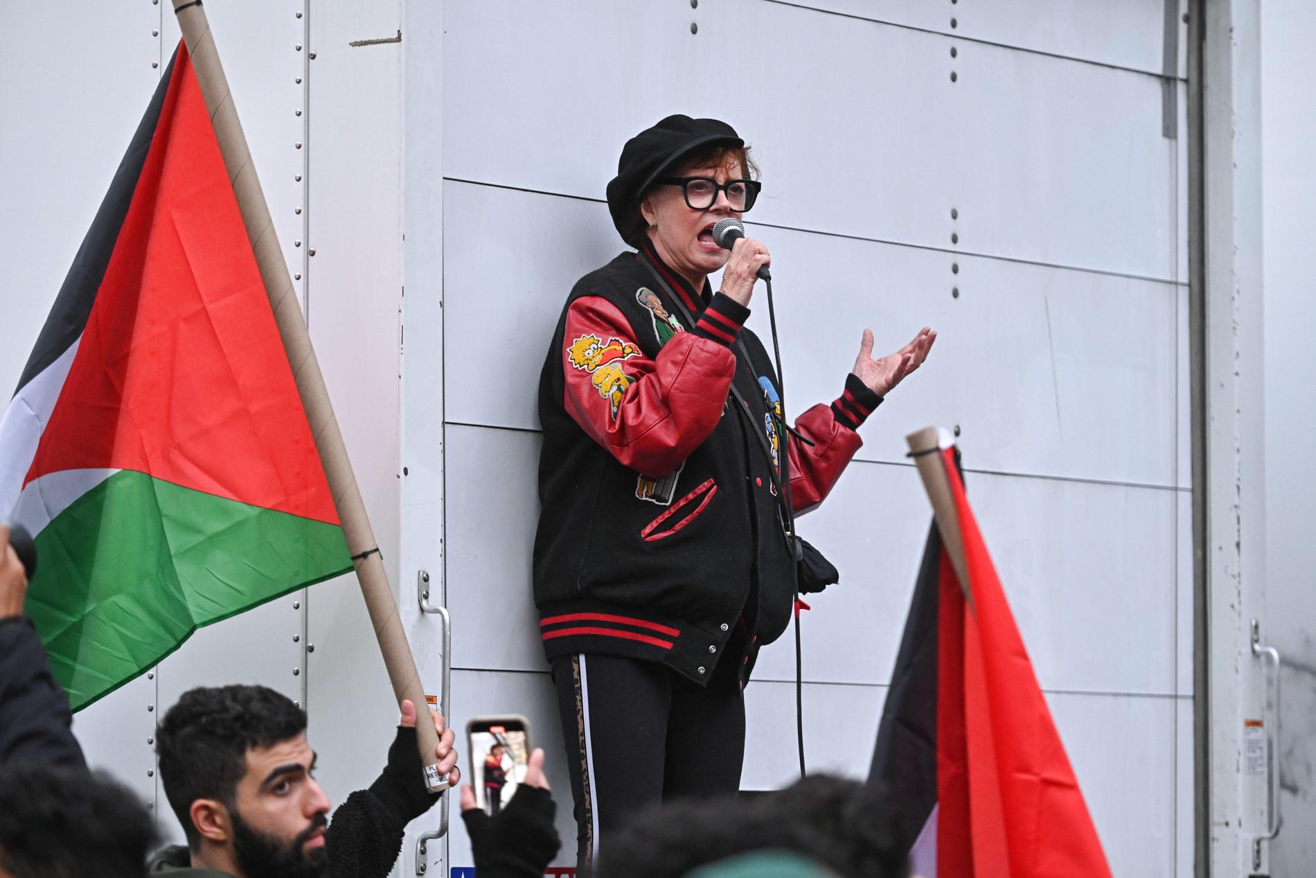 Susan Sarandon på en Palestina-demonstration.