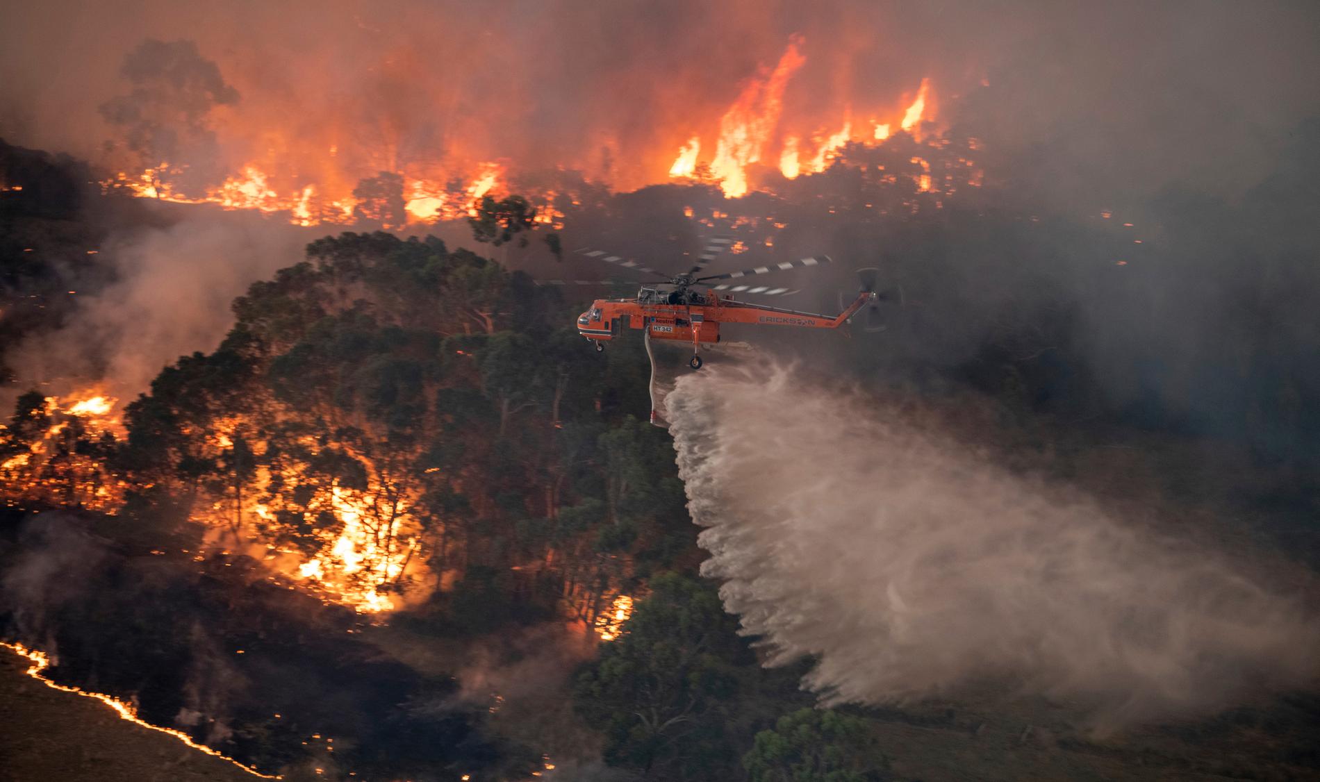 Helikoptrar bekämpar bränder i East Gippsland, Australien.