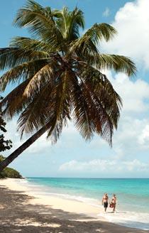 Guadeloupe lever upp till sinnebilden av Karibien.