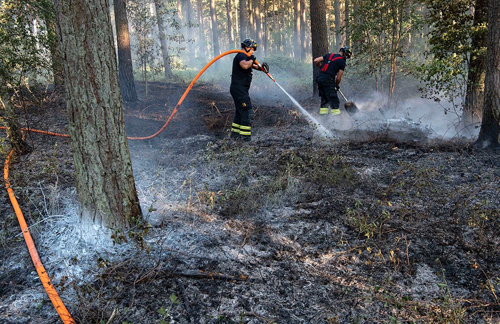 Tusentals frivilliga ställde upp för att bekämpa sommarens skogsbränder.