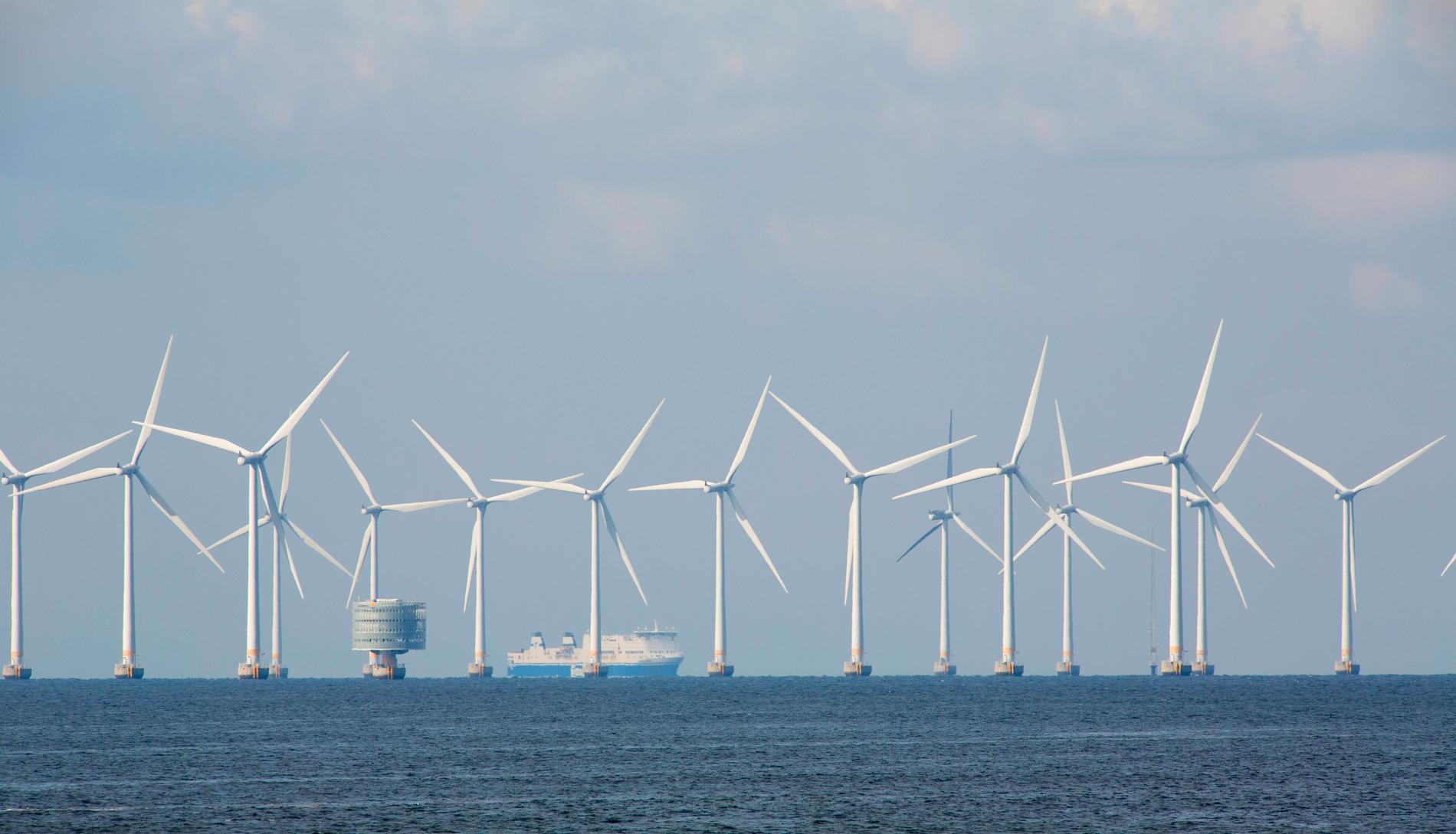 Danmark storsatsar på vindkraft till havs.