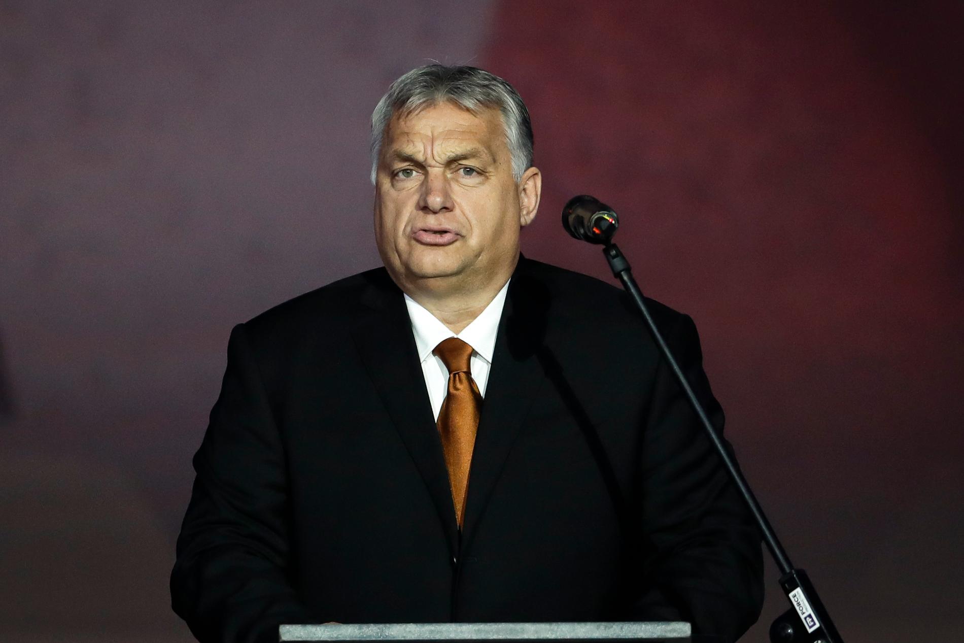 Ungerns premiärminister Viktor Orbán. Bilden är tagen den 17 november.