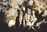  Europas största system av kalkstensgrottor. I den största grottan, Postojna, kan du åka minitåg in i tunnlarna och lära dig allt om stalagmiter och stalaktiter.