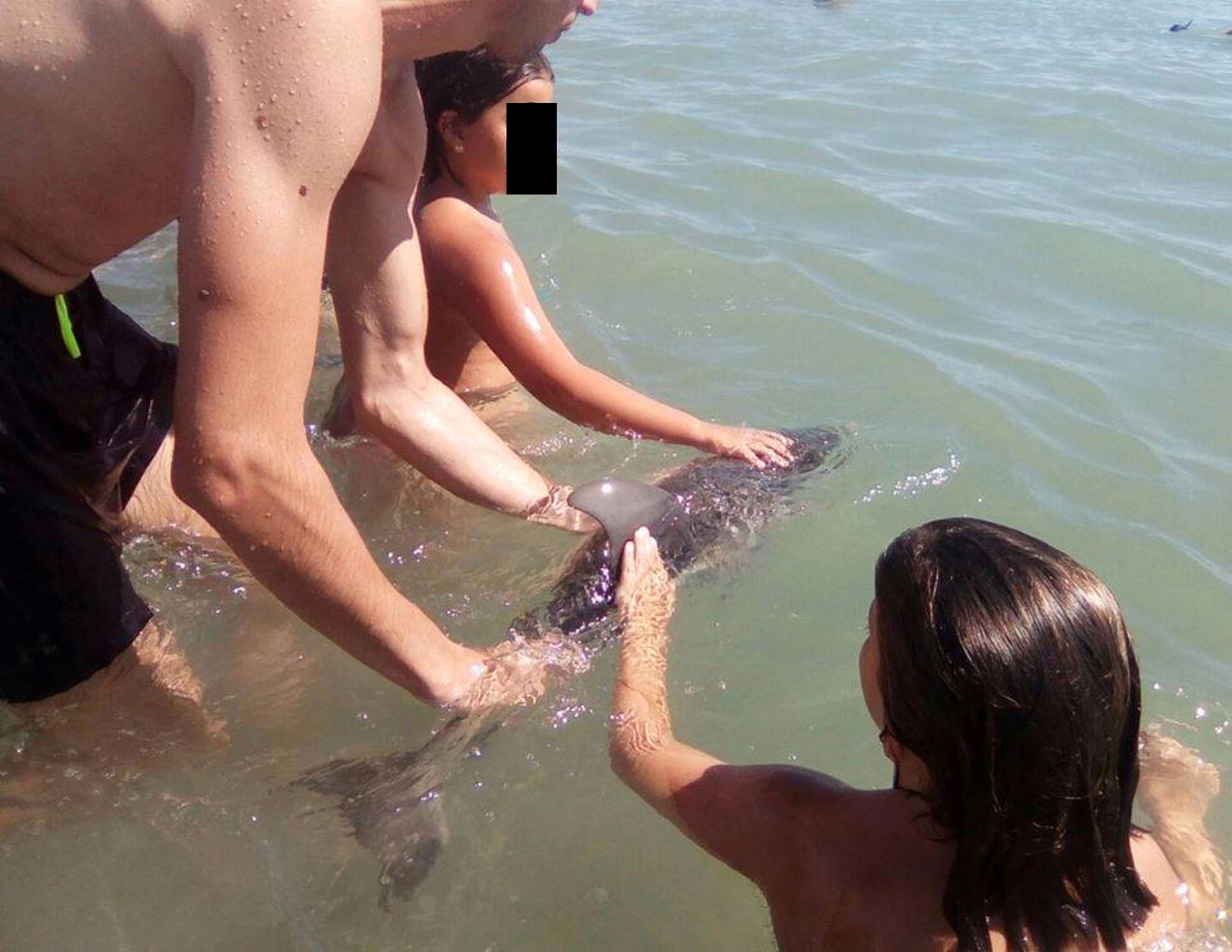 På bilderna kan man se hur barn ovetandes täcker över delfinens lufthål.