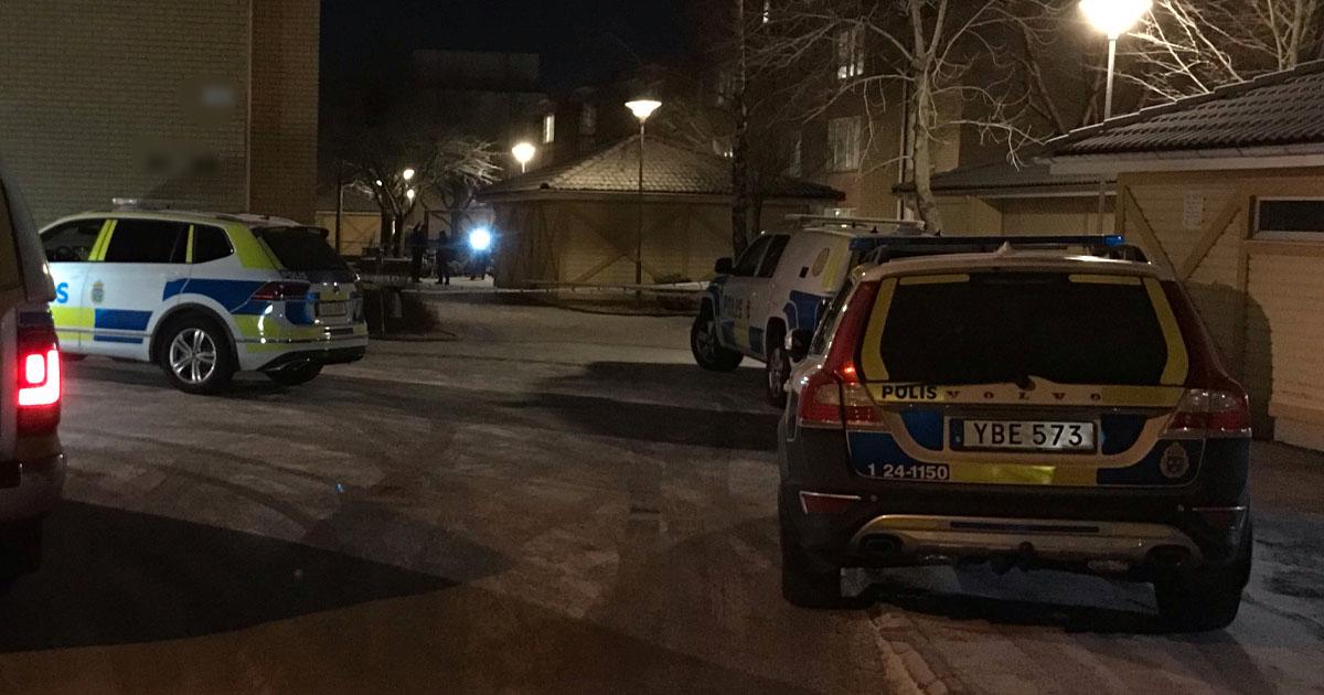 Ett stort polispådrag i bostadsområdet Bäckby i Västerås.