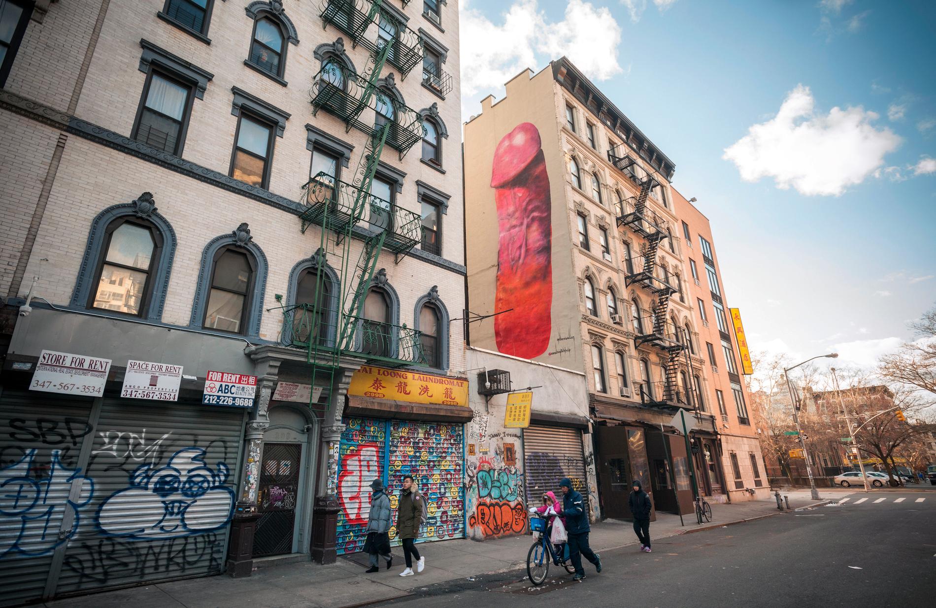 Konstnären Carolina Falkholt har tidigare målat en penis i New York.