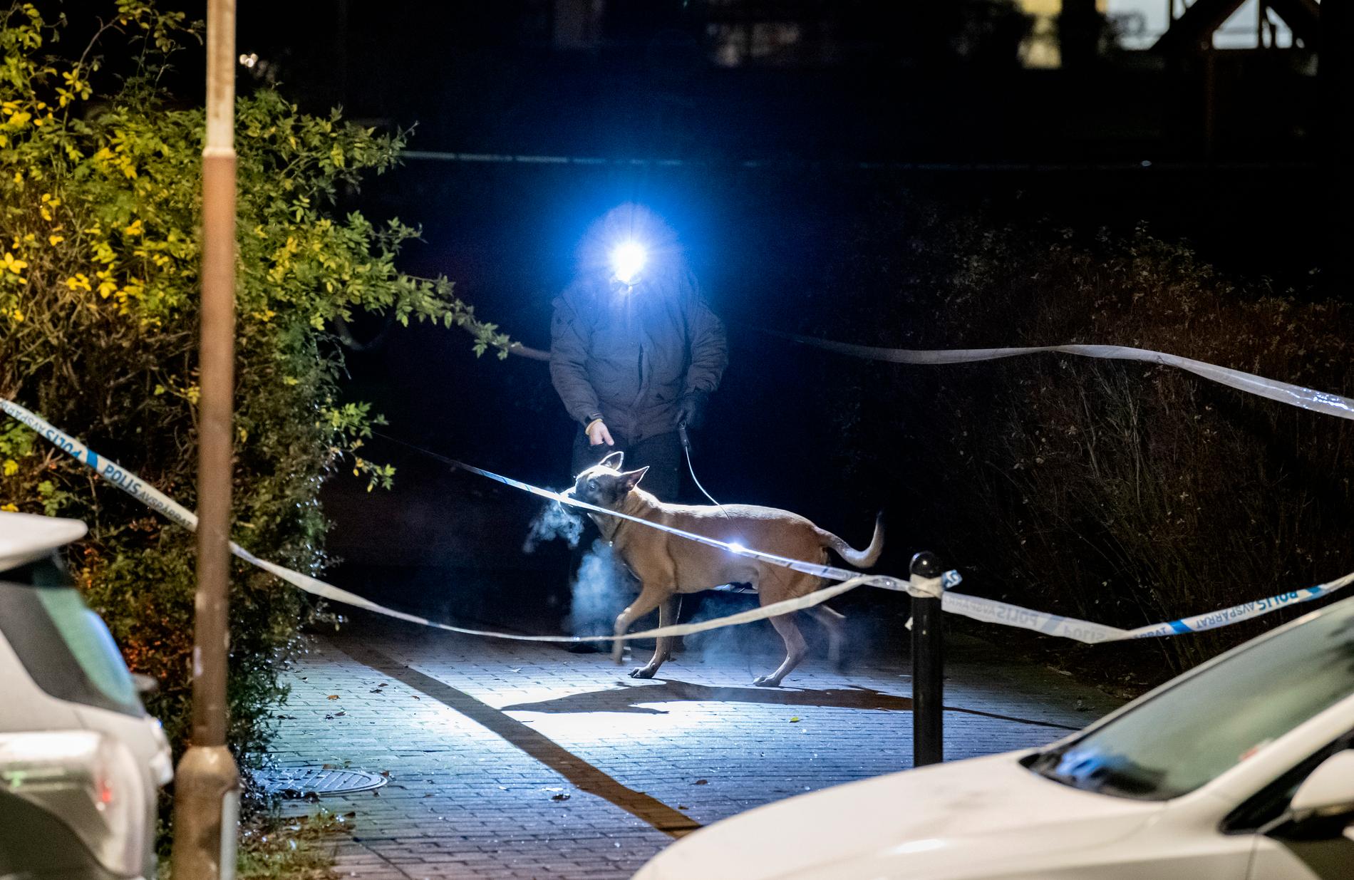 Polis med vapenhund söker innanför avspärrningarna efter att en man skjutits till döds i Hermodsdal i Malmö den 2 december. Arkivbild.