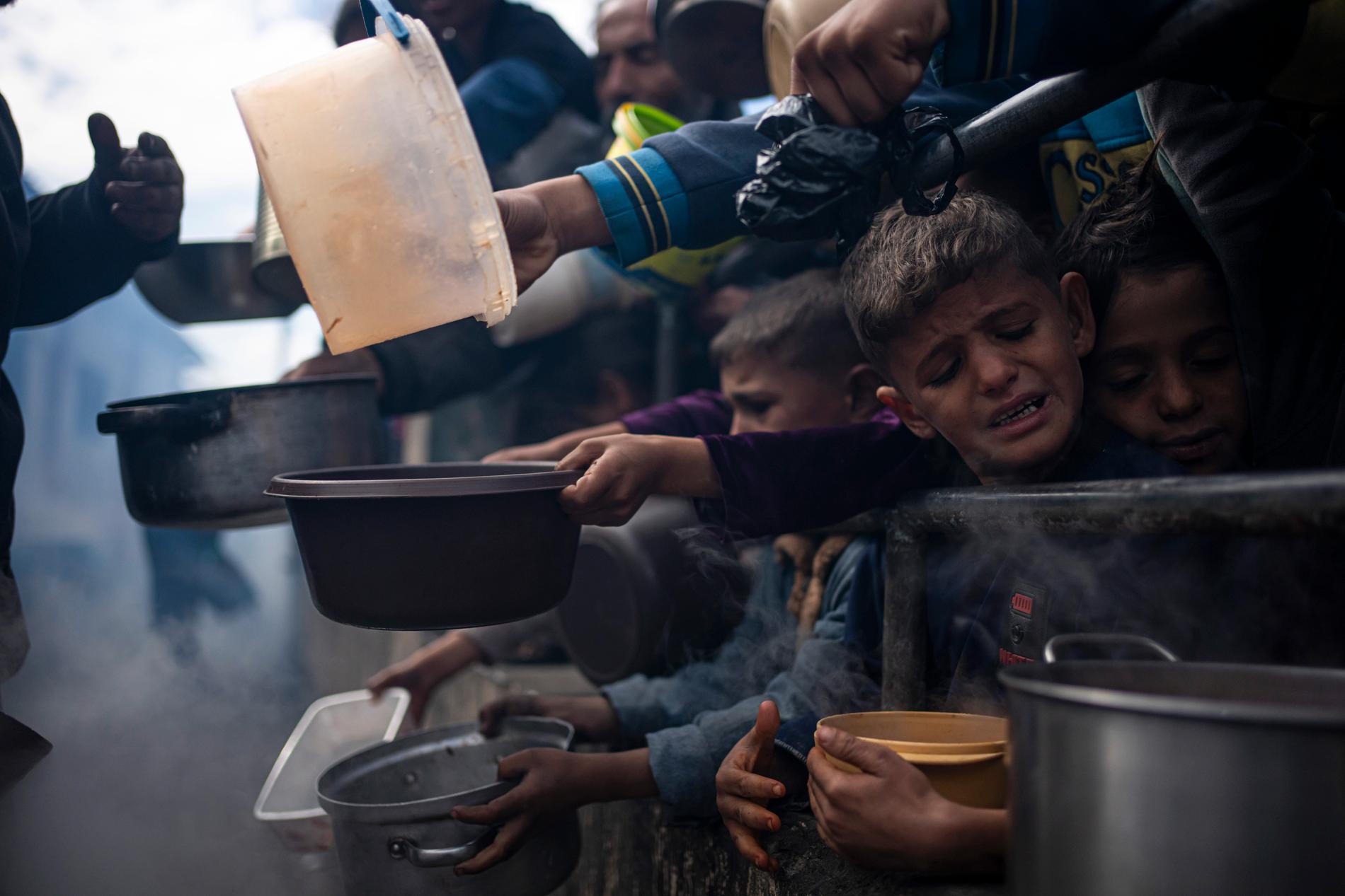 Palestinier på jakt efter en måltid i Rafah i södra Gaza. Arkivbild från februari.