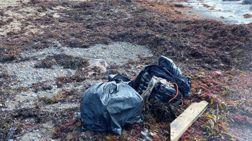 Två personer från Stockholm åtalas för synnerligen grov narkotikasmuggling och en tredje för medhjälp efter ett stort kokainfynd på en strand utanför Höganäs i Skåne.
