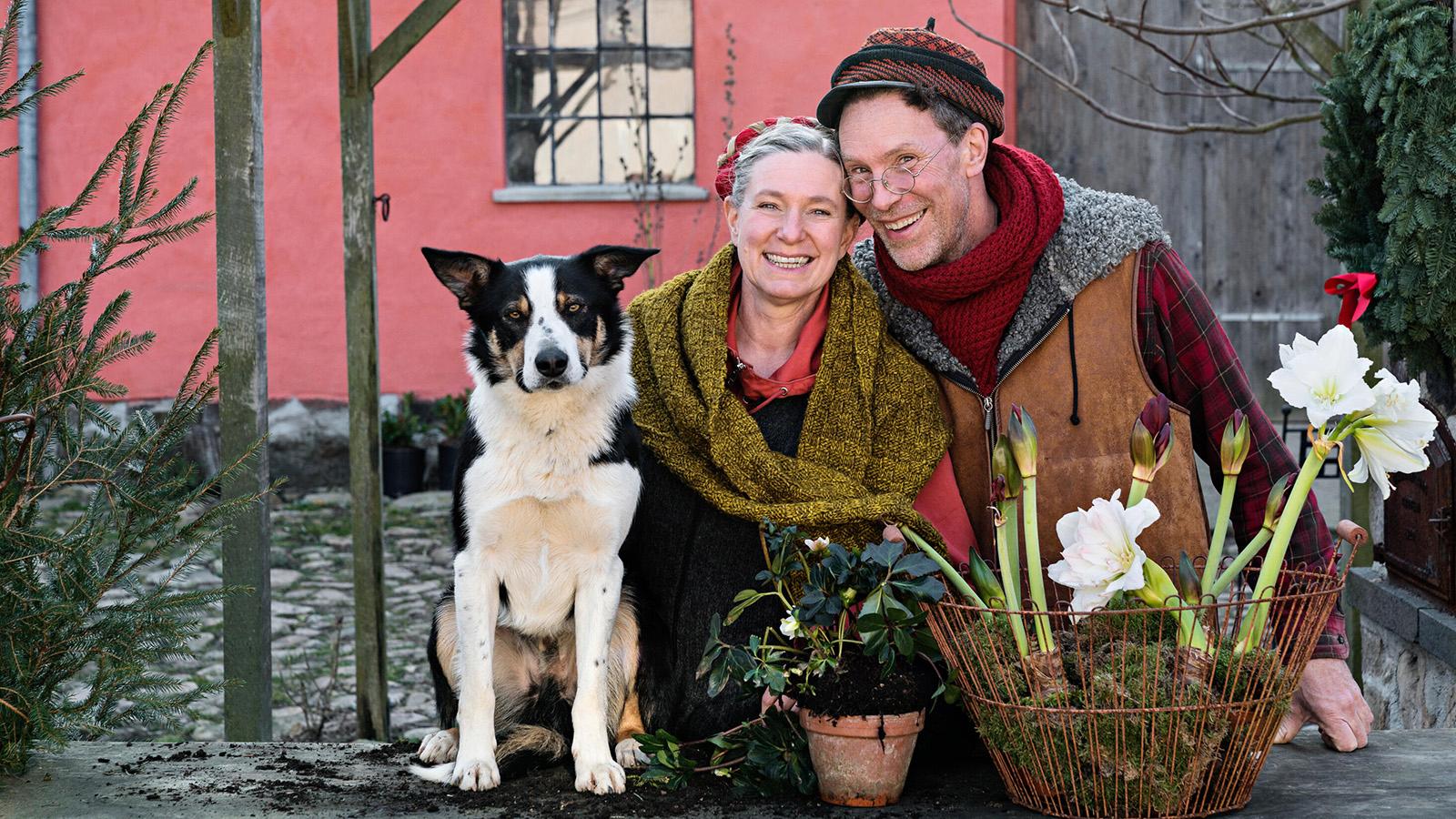 Gustav och Marie Mandelmann laddar för jul på gården med vallhunden Saffran.