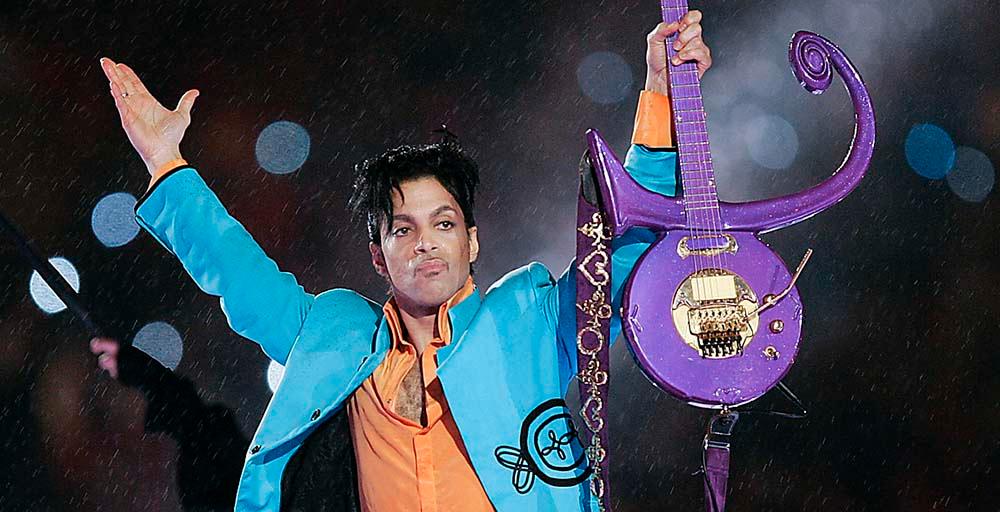 Prince dog i april 2016.