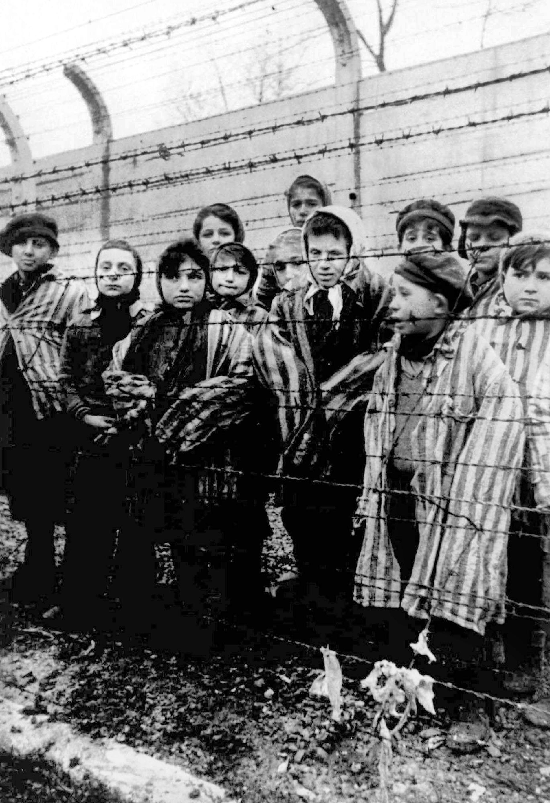 En grupp barn innanför stängslet i koncentrationslägret i Auschwitz, Polen. 1945 blev de frigivna av ryska soldater. Då hade kriget pågått i nästan sex år.