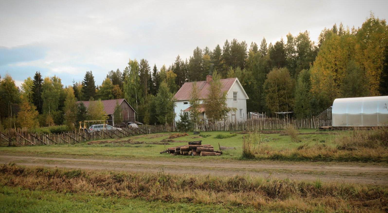 Felicia Wallared och Sebastian Ohlsson bor sedan ett par år tillbaka i byn Tillfället i Graninge i Sollefteå kommun.