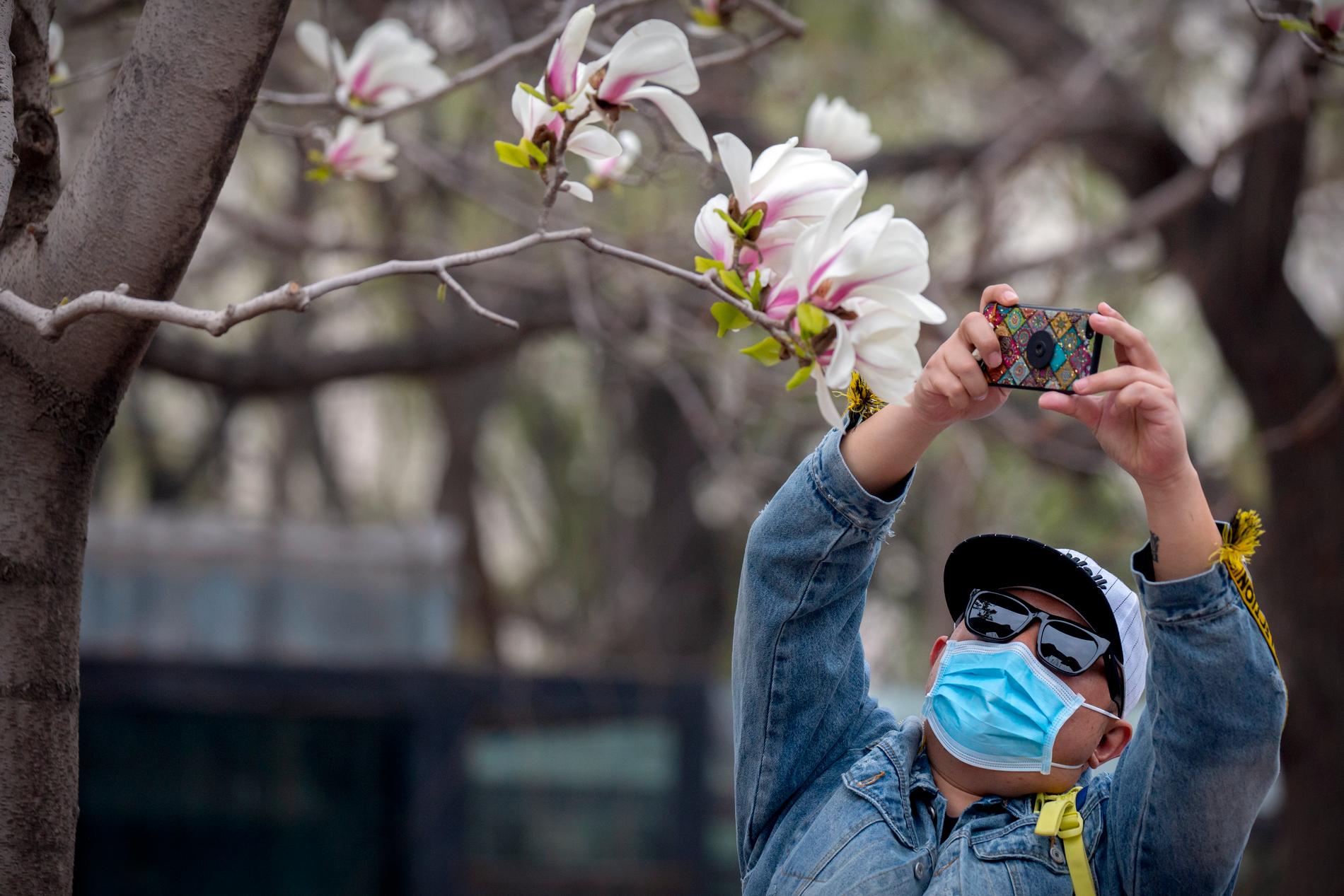 Försäljningen och produktionen av munskydd i Kina har skjutit i höjden såväl innanför som utanför Kinas gränser. Här är en besökare på ett zoo i Peking som nyligen öppnat igen efter att ha varit stängt på grund av coronautbrottet.