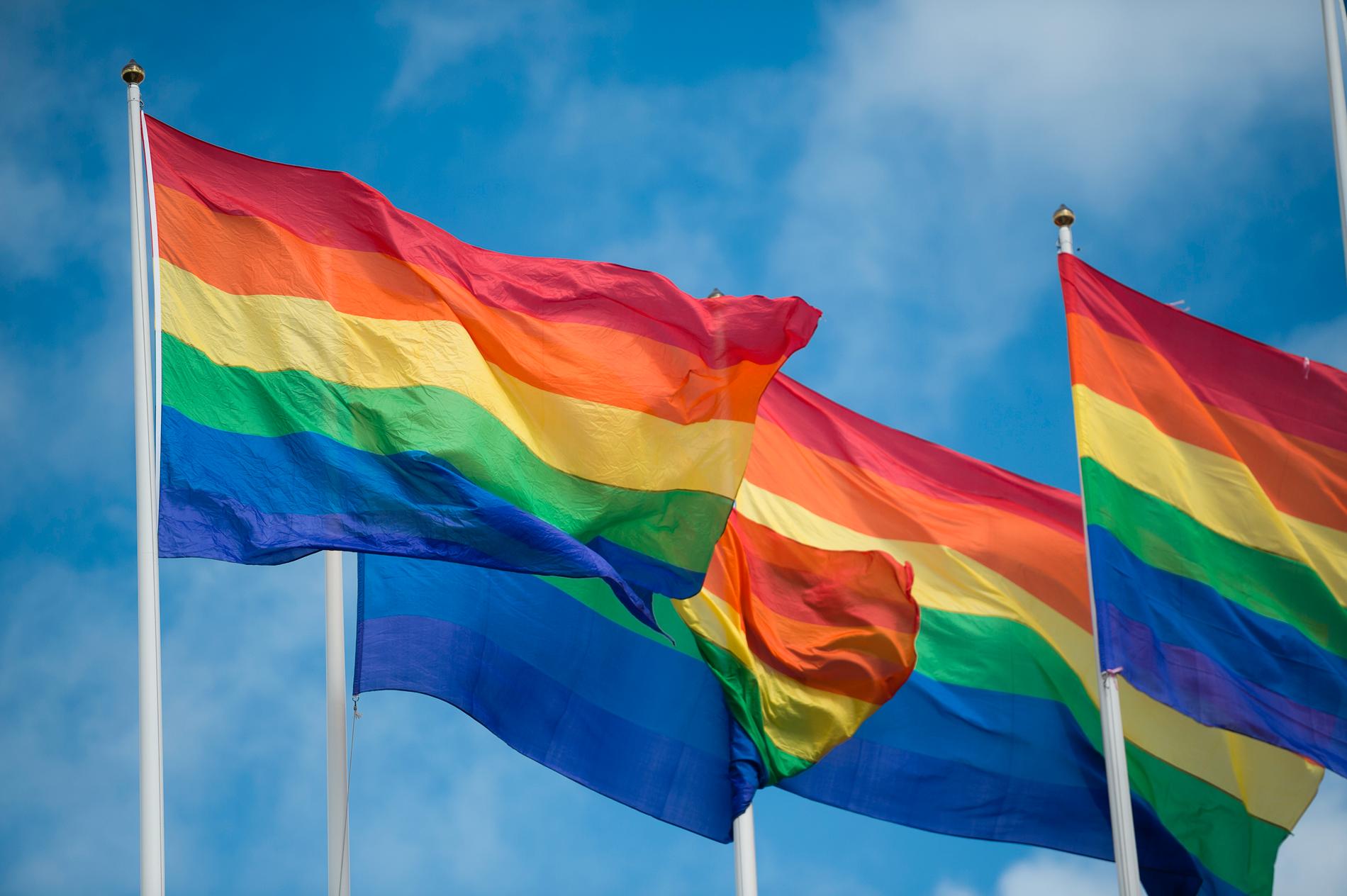 Sverigedemokraterna vill förbjuda regnbågsflaggor på offentliga byggnader.