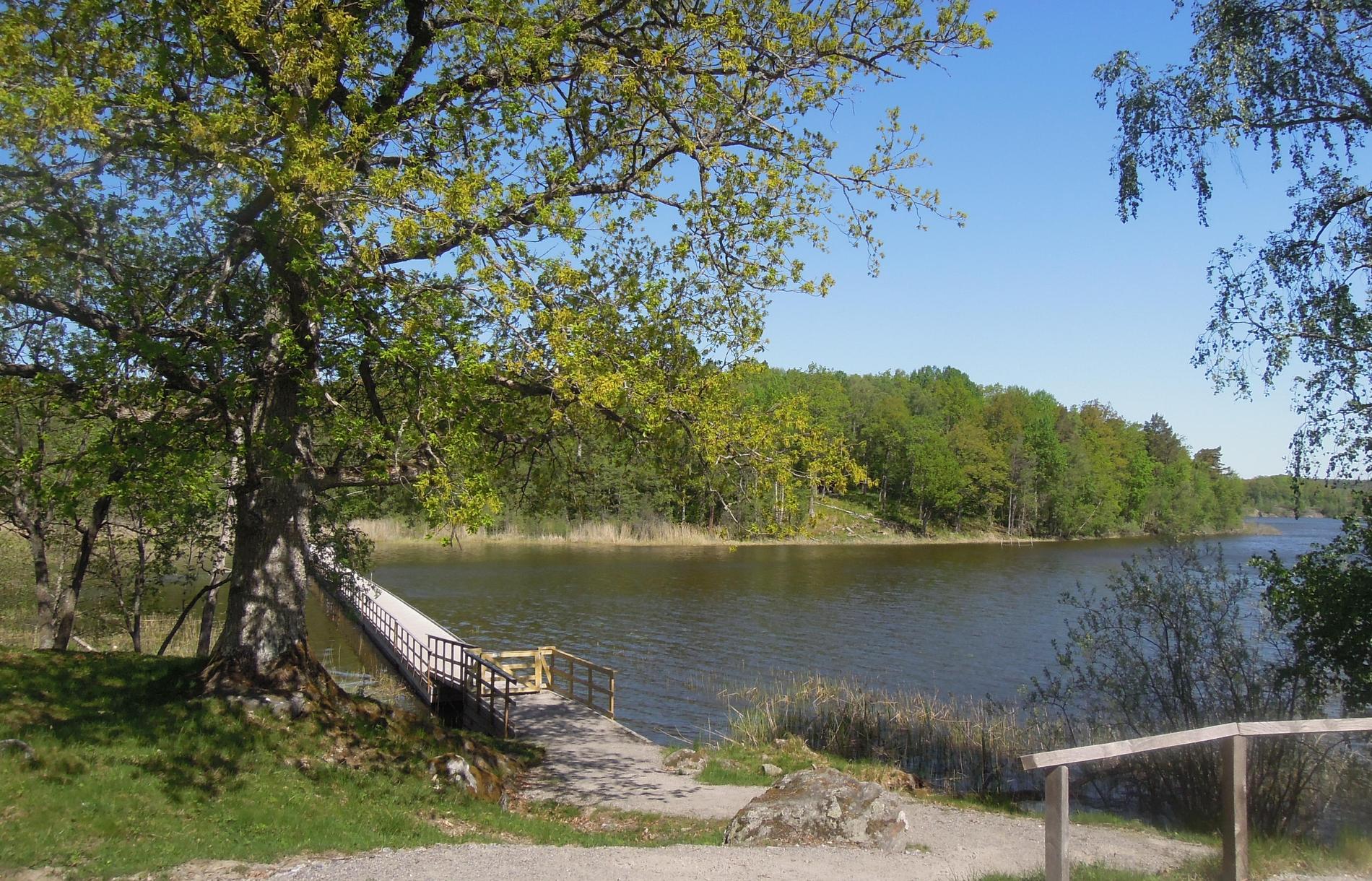 Sundby och Orlångens naturreservat