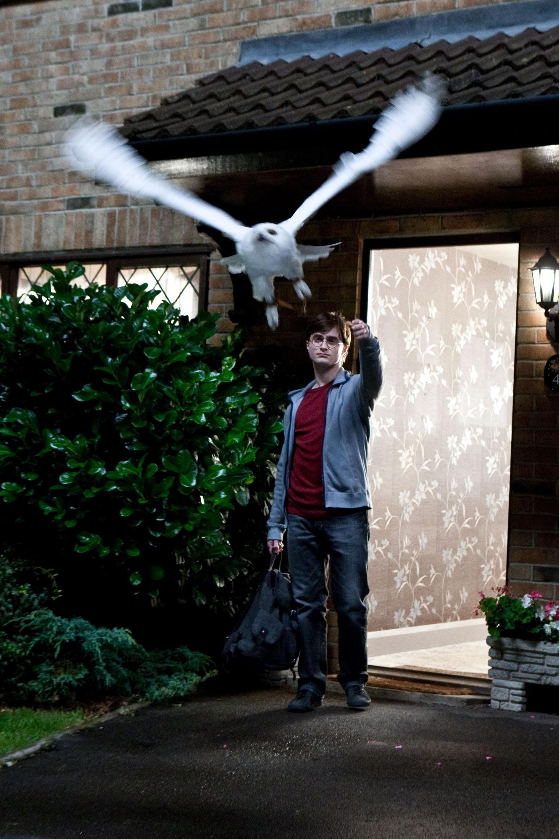 Harry Potter med ugglan Hedwig i filmen "Harry Potter och dödsrelikerna – del 1”.