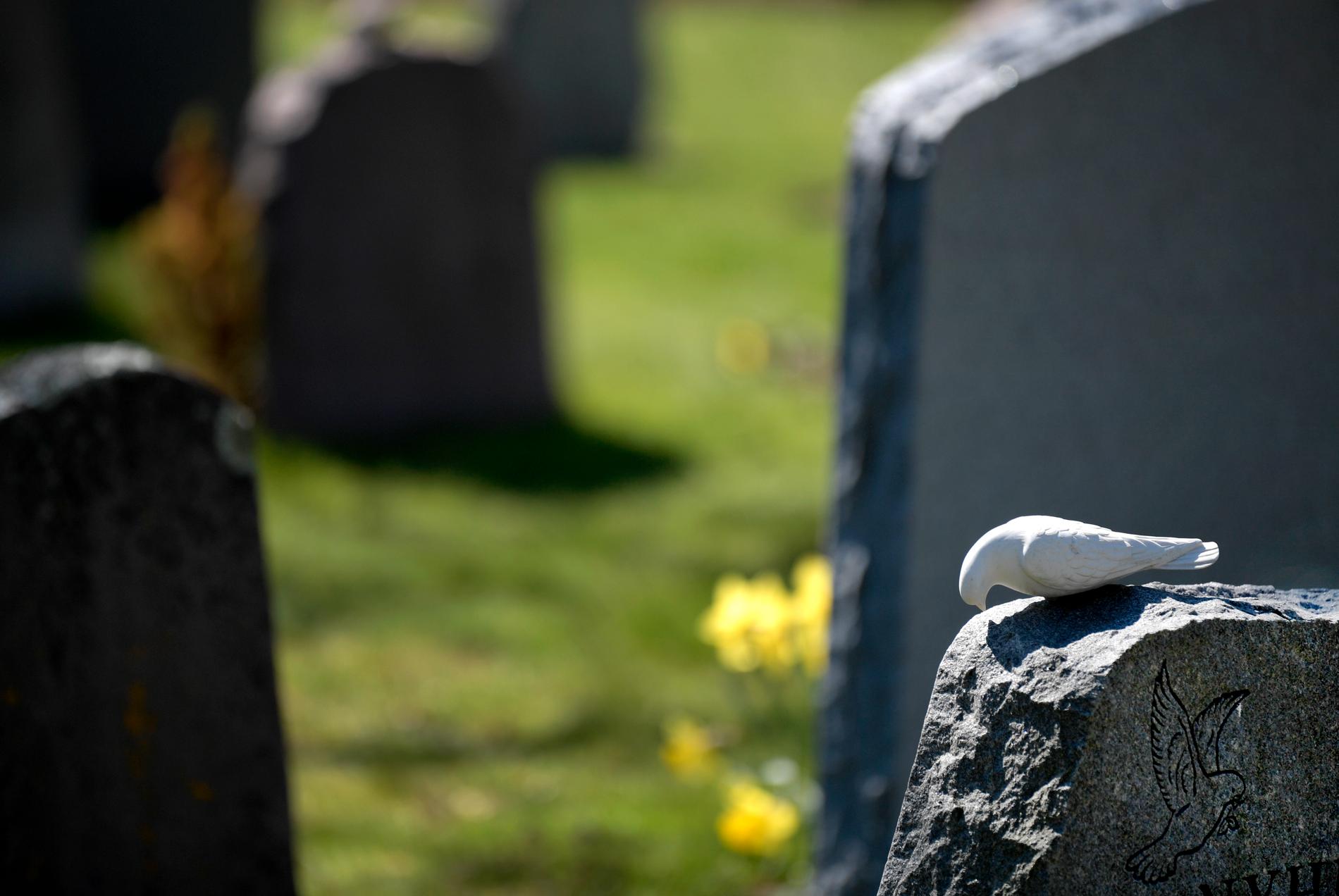Ordningsvakter kommer att bevaka brottsdrabbade kyrkogårdar i Malmö. Arkivbild från en annan kyrkogård.