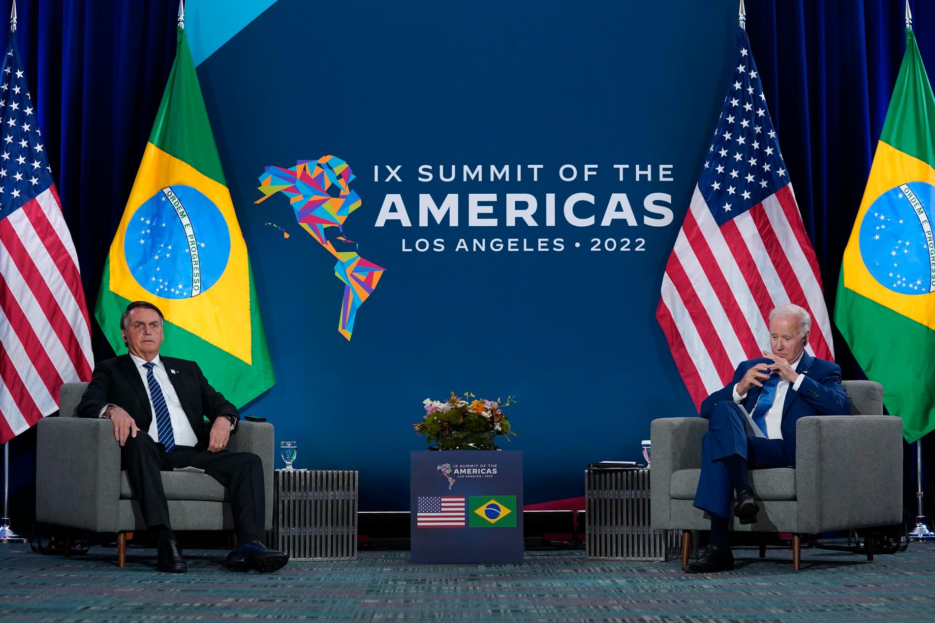 USA:s president Joe Biden och hans brasilianske kollega Jair Bolsonaro möttes för första gången.