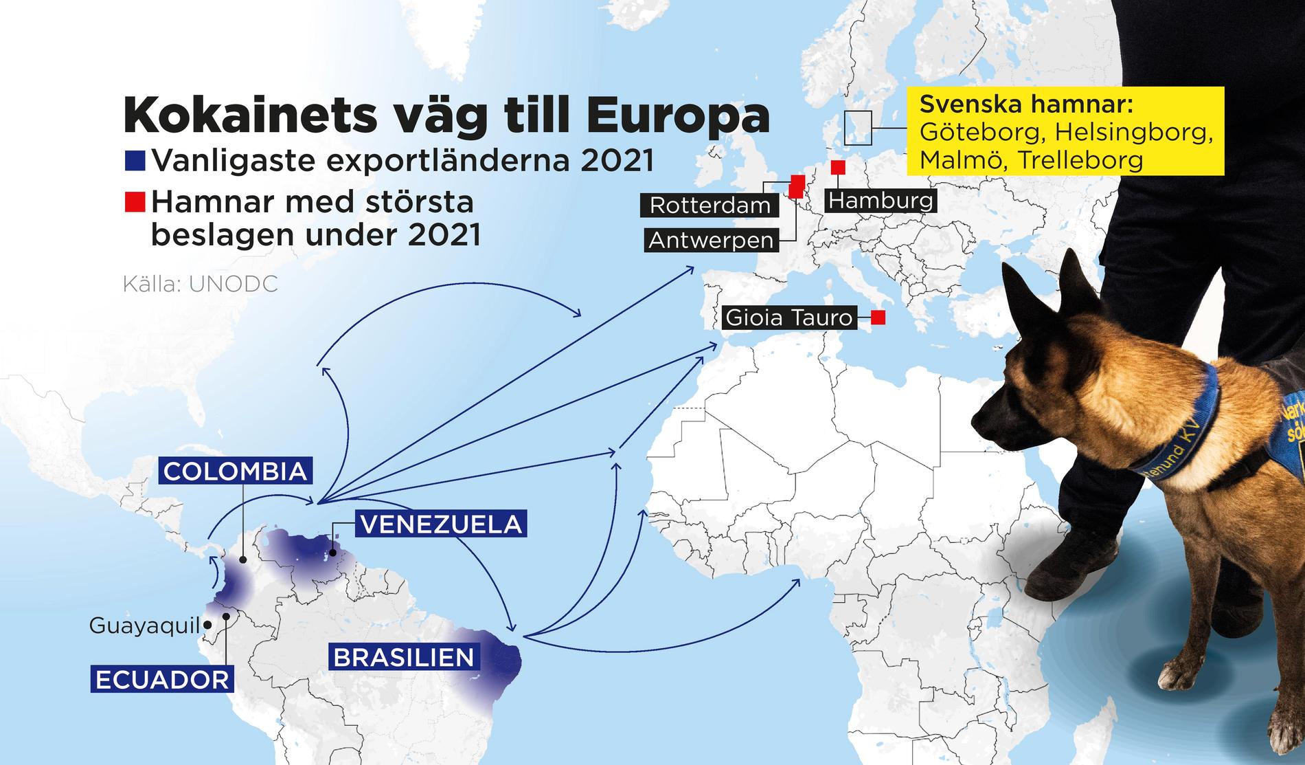 Vanligaste exportländerna från Sydamerika samt europeiska hamnar med största beslagen under 2021.