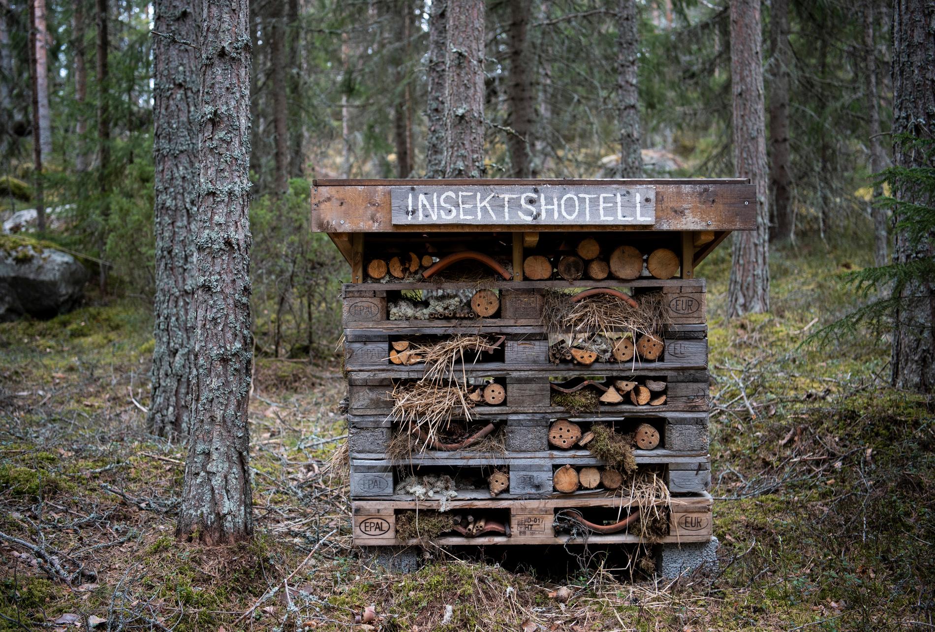 Insektshotellet på Järvzoo i Järvsö är fullbelagt trots coronakrisen.