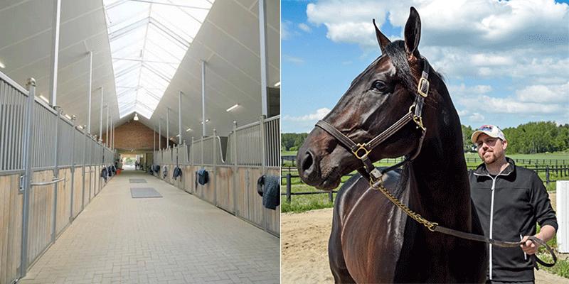Vinnaren av Elitloppet, Don Fanucci Zet, blir en av två hästar som först får bege sig till den belgiska gården – med det stora målet Prix d’Amérique i sikte. 
