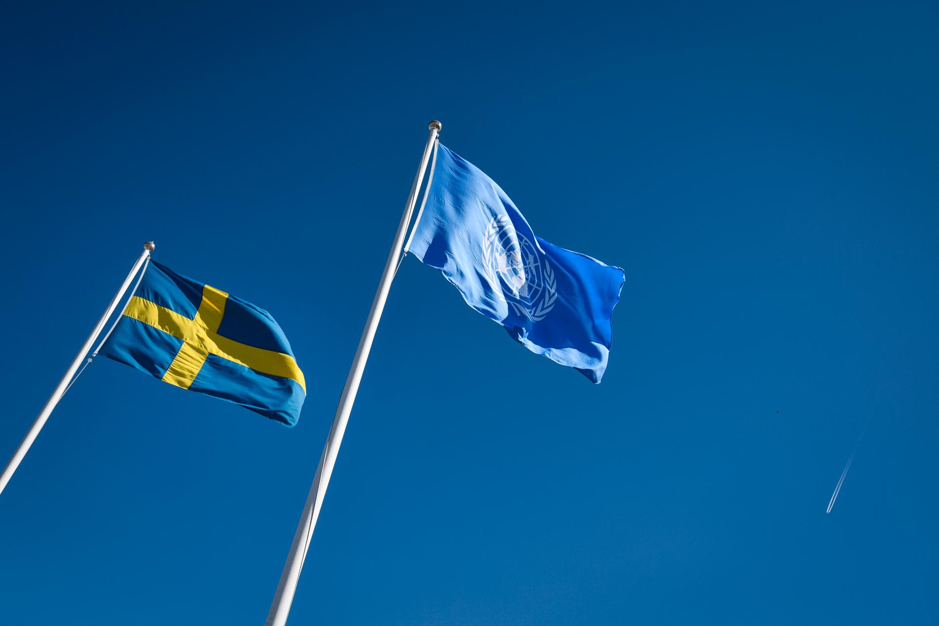 Sverige placerar sig på plats åtta i FN-organet UNDP:s utvecklingsindex. Arkivbild.