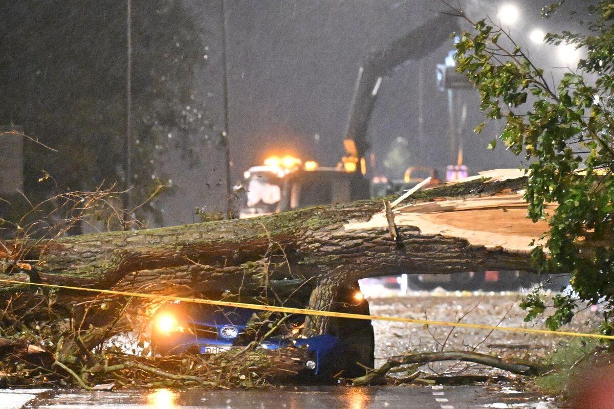 Ett stort träd träffade en bil i Bjärred under fredagskvällen.