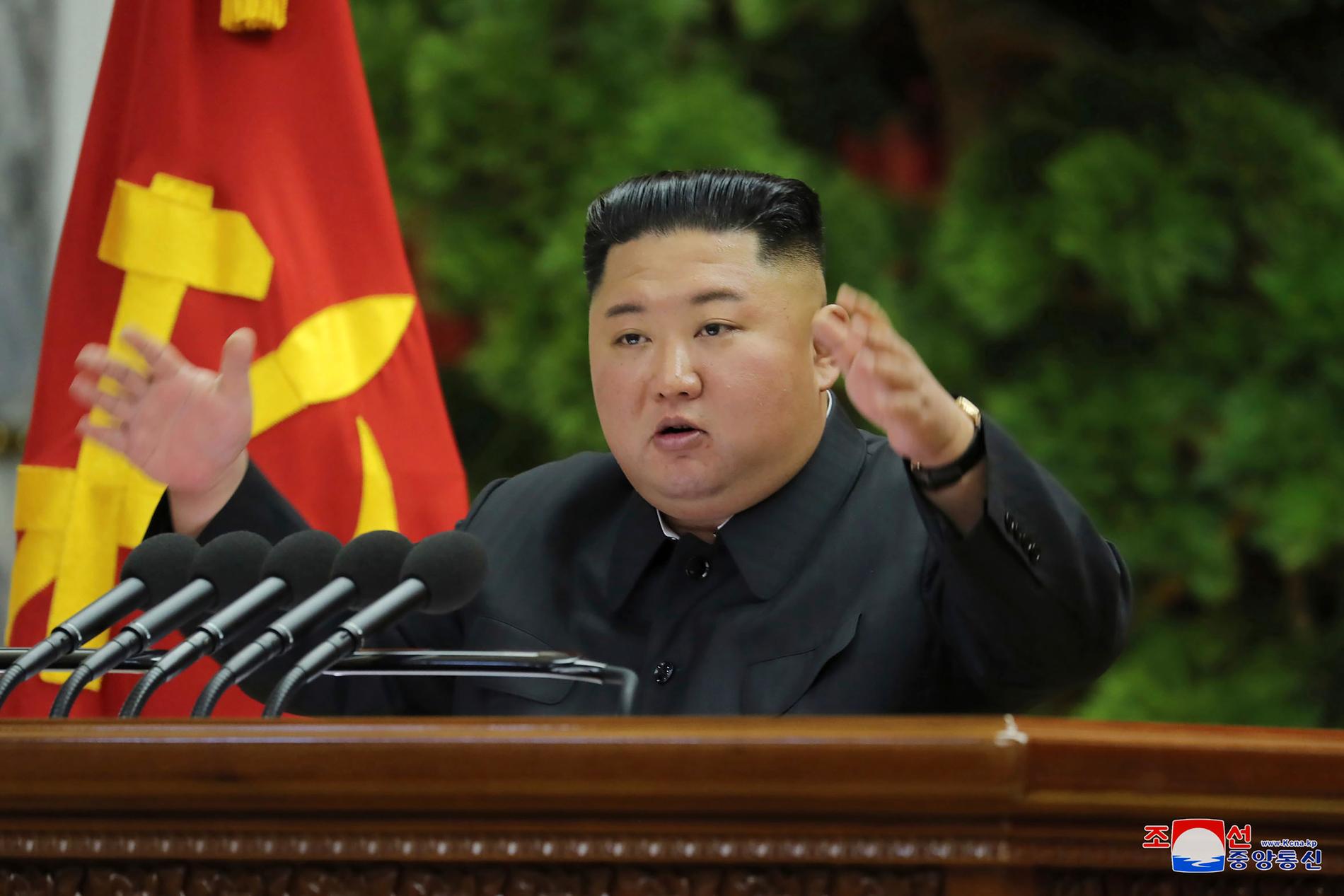 Nordkoreas ledare Kim Jong un. 