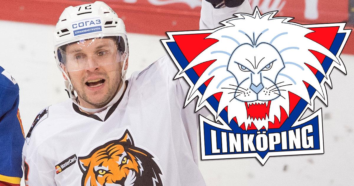 Niclas Bergfors, senast i KHL och Amur Khabarovsk.