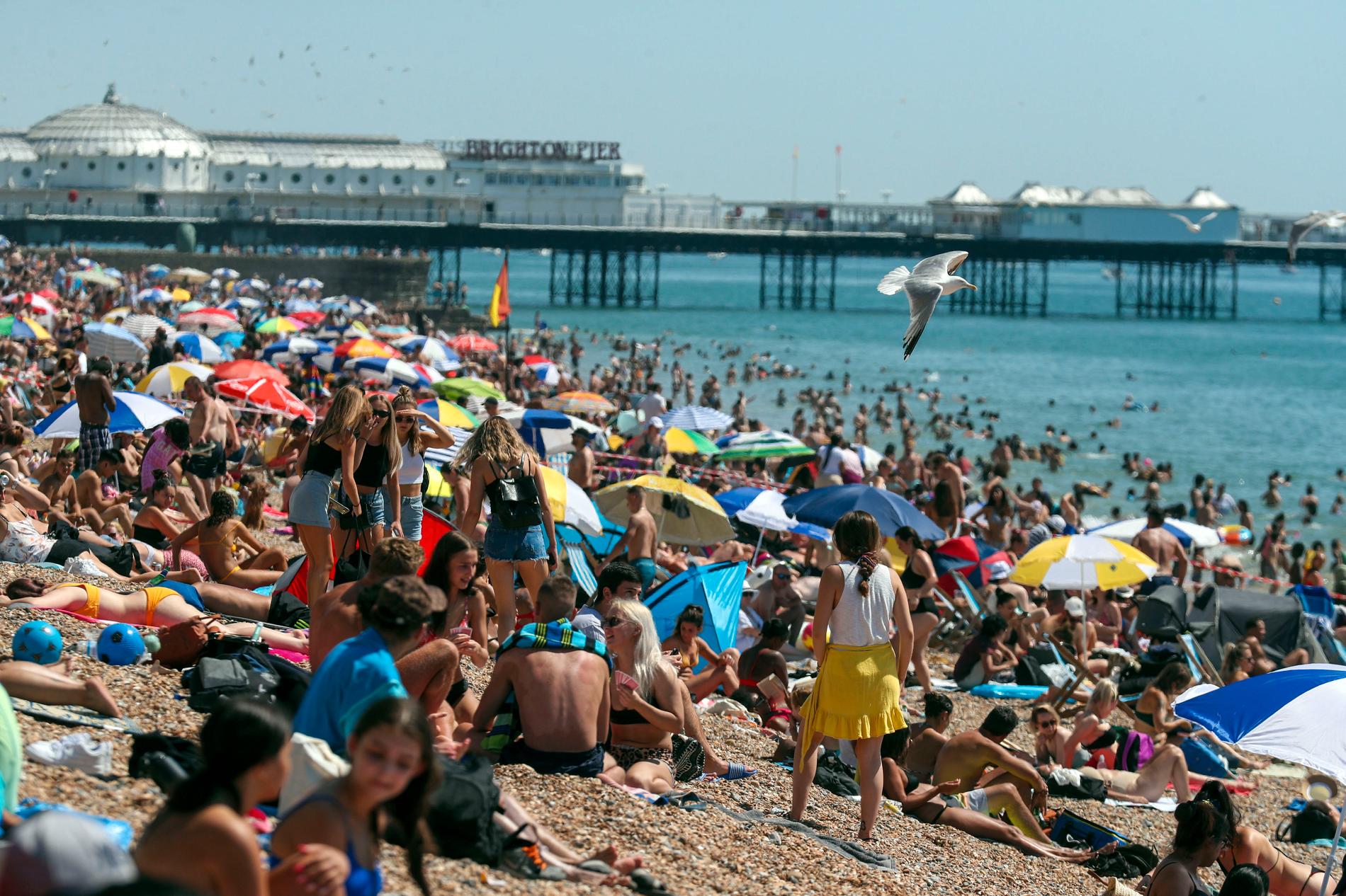 Under fredagen flockades Brightonborna till stranden på sommarens varmaste dag.  