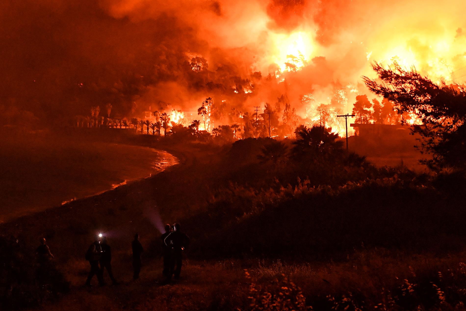 Skogsbränderna har brett ut sig över Europa i sommar. Här rasar en brand i Grekland.