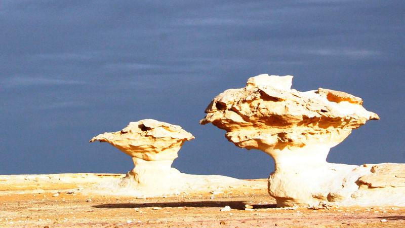 Egyptens nya turistattraktion Vita öknen – sand och vind har skulpterat dessa märkliga formationer.