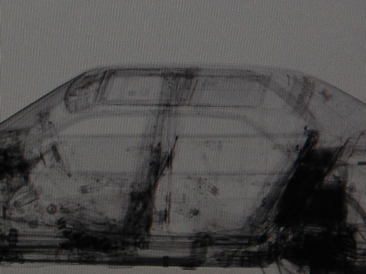 Norska tullverkets röntgenbild av bilen. Hundarna Jacko och Jim markerade i baksätet. Sen var mannen rökt.