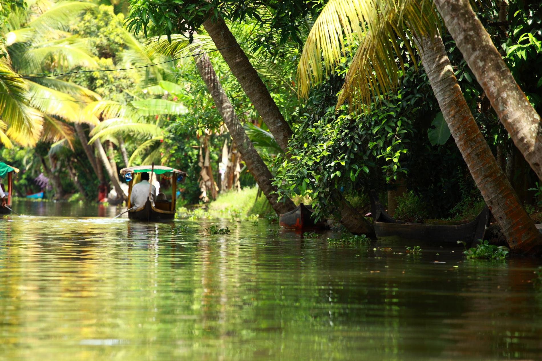 Keralas Backwaters bjuder på vackra båtturer. 