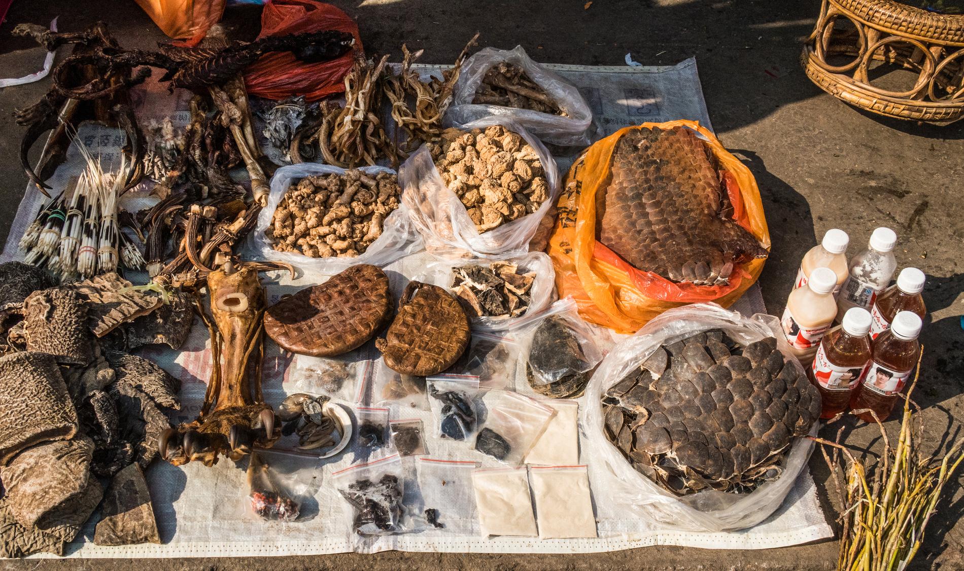 Delar av myrkott som säljs öppet på svarta marknaden i Myanmar.