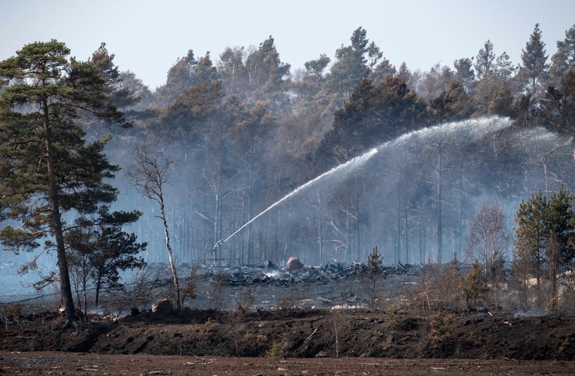 Skogsbränder som bedömts vara släckta blossar ibland upp igen och kan då orsaka stora skador. Arkivbild.
