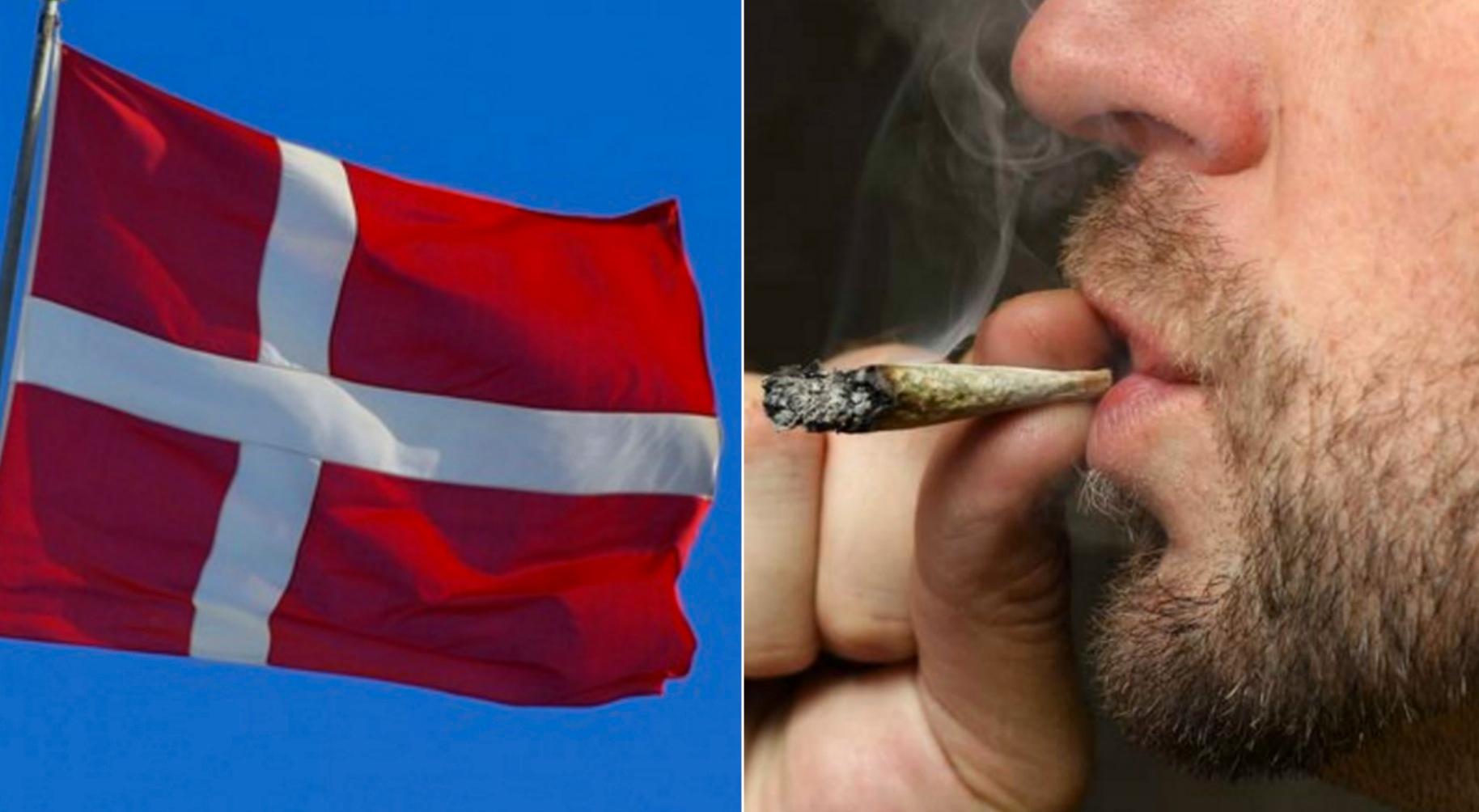 Danmark vill testa medicinsk cannabis.