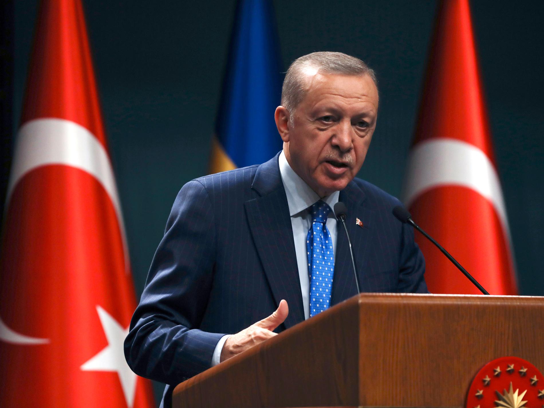 Politisk splittring i Turkiet "gåva till Erdogan"