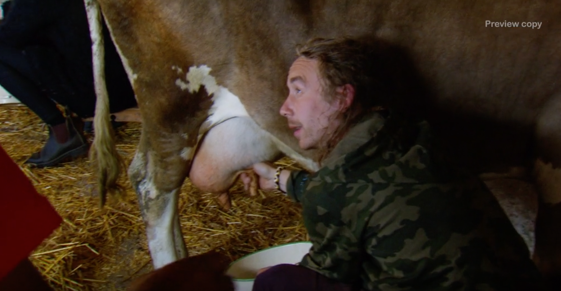 ”Farmen”-deltagaren Johan Skattberg, 28, skulle mjölka en kossa.
