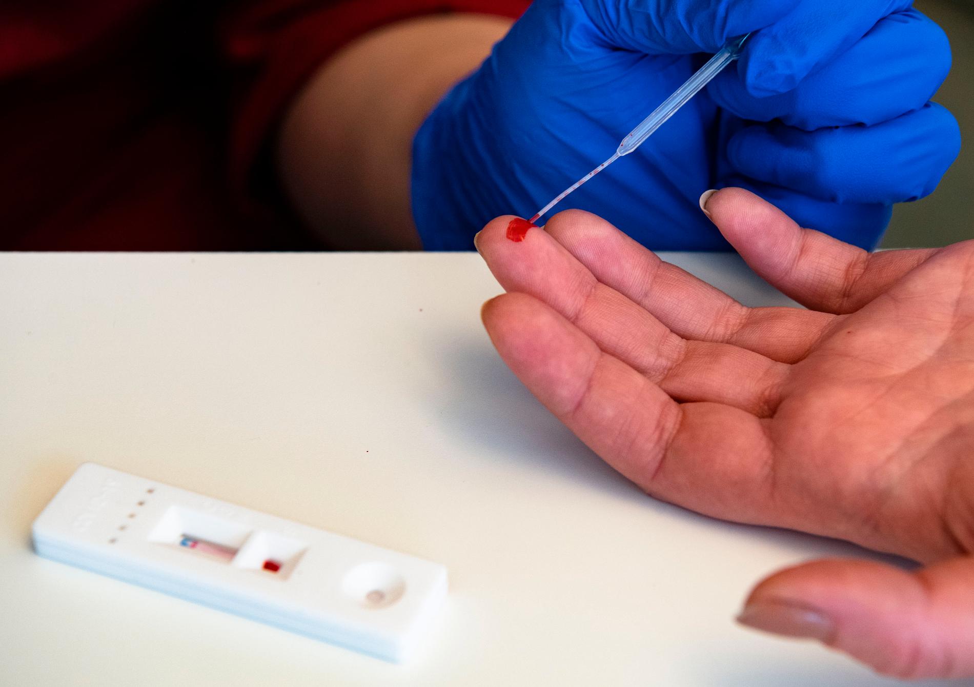 Blodprov för att testa om en person har antikroppar mot coronaviruset. 