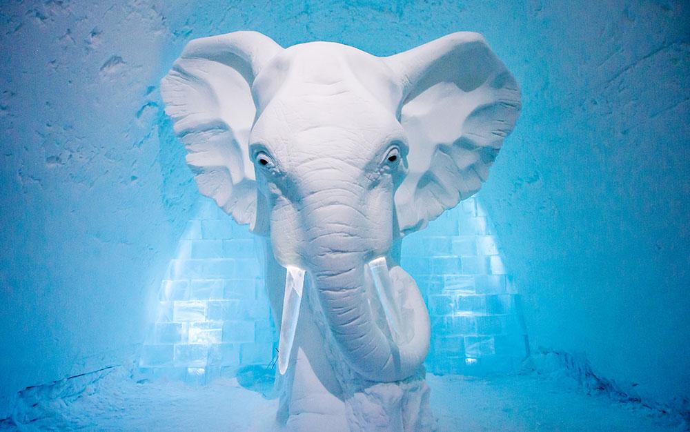 Ett konstverk i en av konstsviterna på Icehotel. Verket heter ”Elephant in he Room" och är skapad av AnnaSofia Mååg.