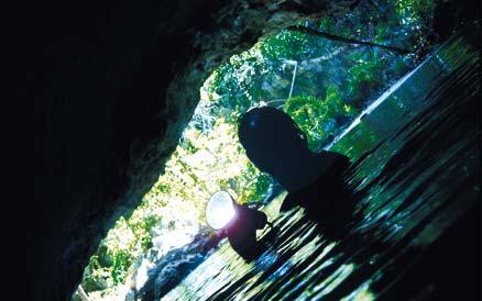 Du lyfter på huvudet och är uppe över vattenytan. Här kan du se rakt in i ett av många fladdermusfästen som finns nere i de mörka grottorna.