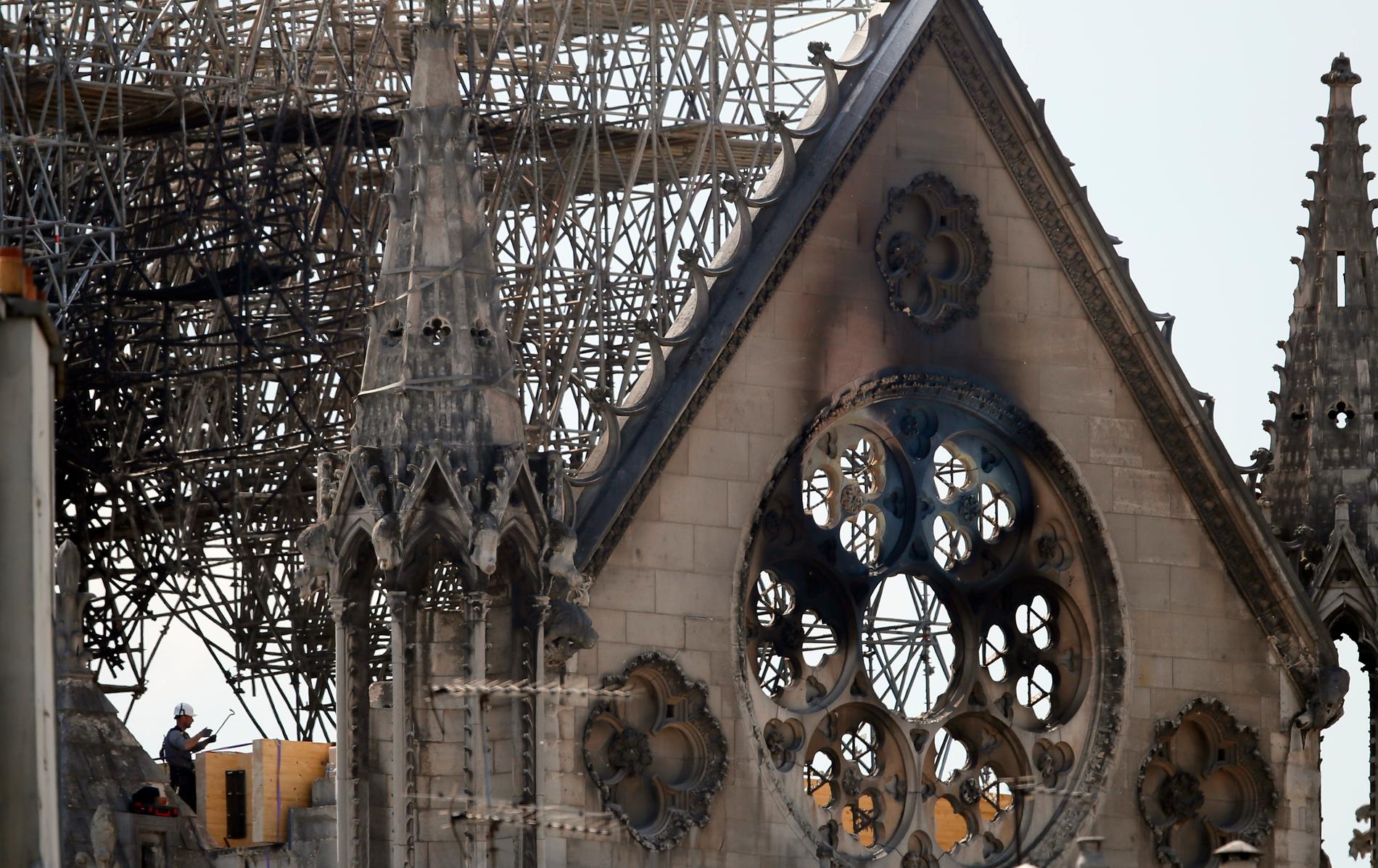 En man kontrollerar den bärande träkonstruktionen i Notre-Damekyrkan efter branden.