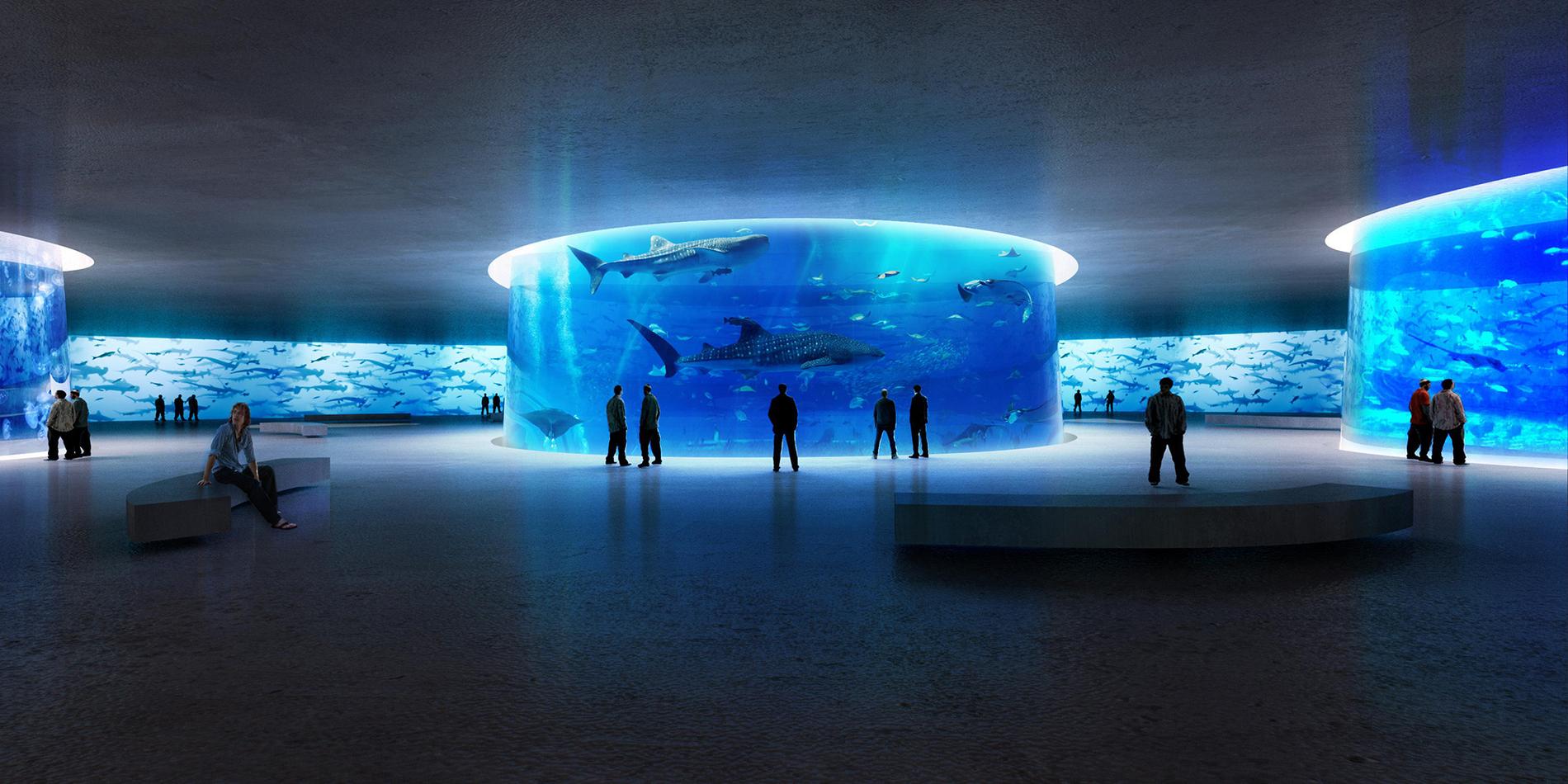 Kvällstid blir akvariet ett planetarium.
